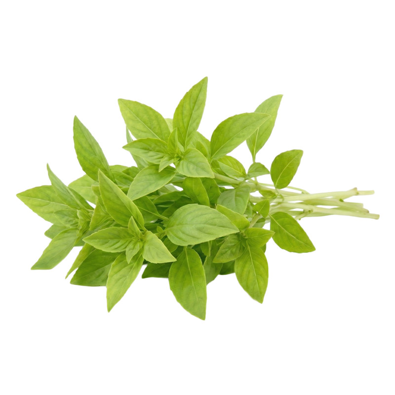 Albahaca Limón fresca | Viver