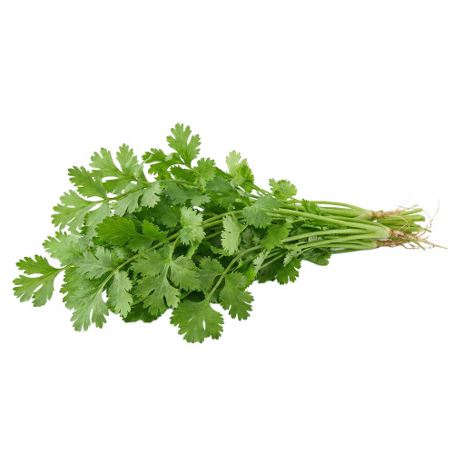 Cilantro Criollo fresco | Viver