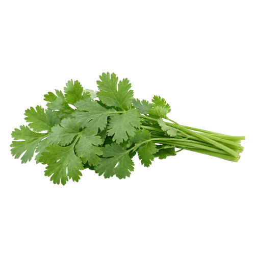 Cilantro Europeo fresco | Viver