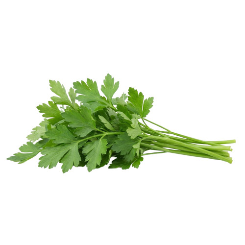 Perejil Liso fresco | Viver