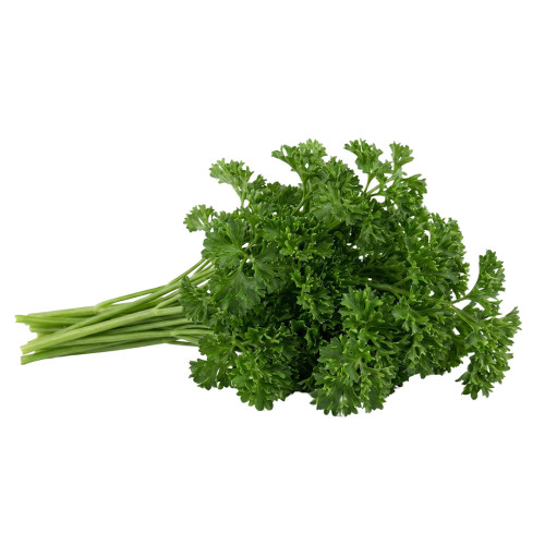 Perejil Crespo fresco | Viver