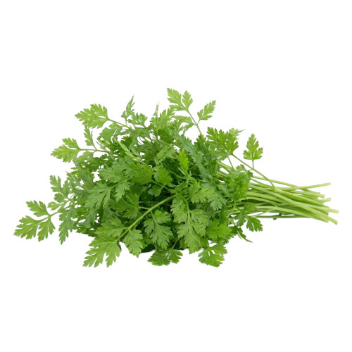 Perifollo fresco | Viver