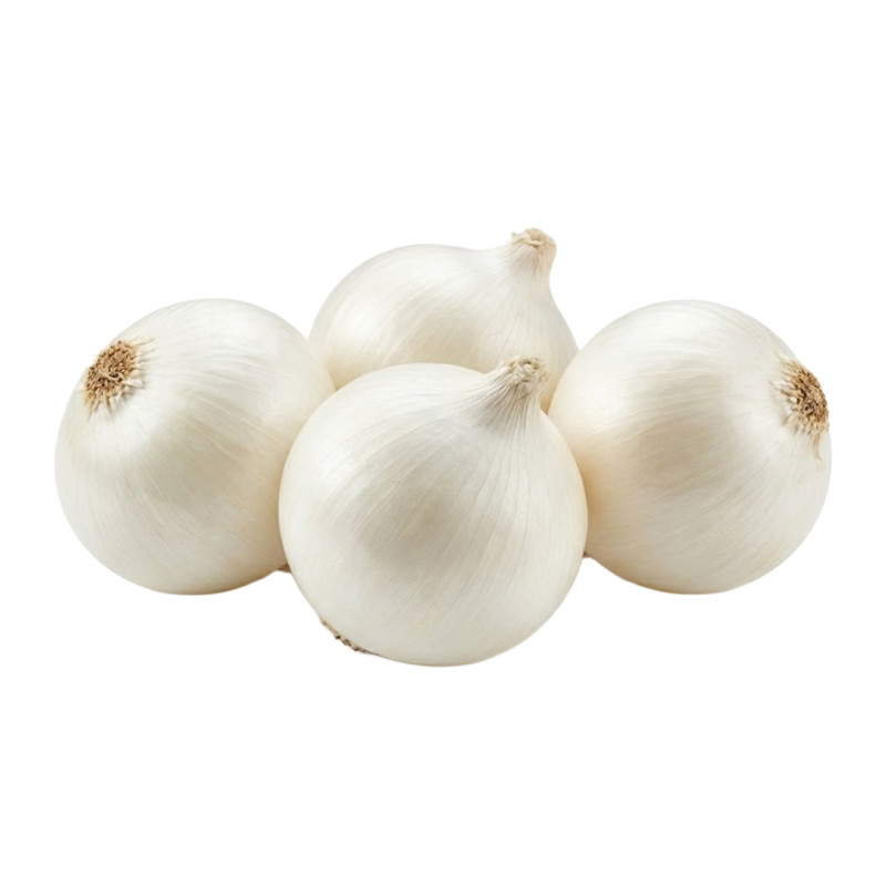 Cebolla Blanca fresca | Viver