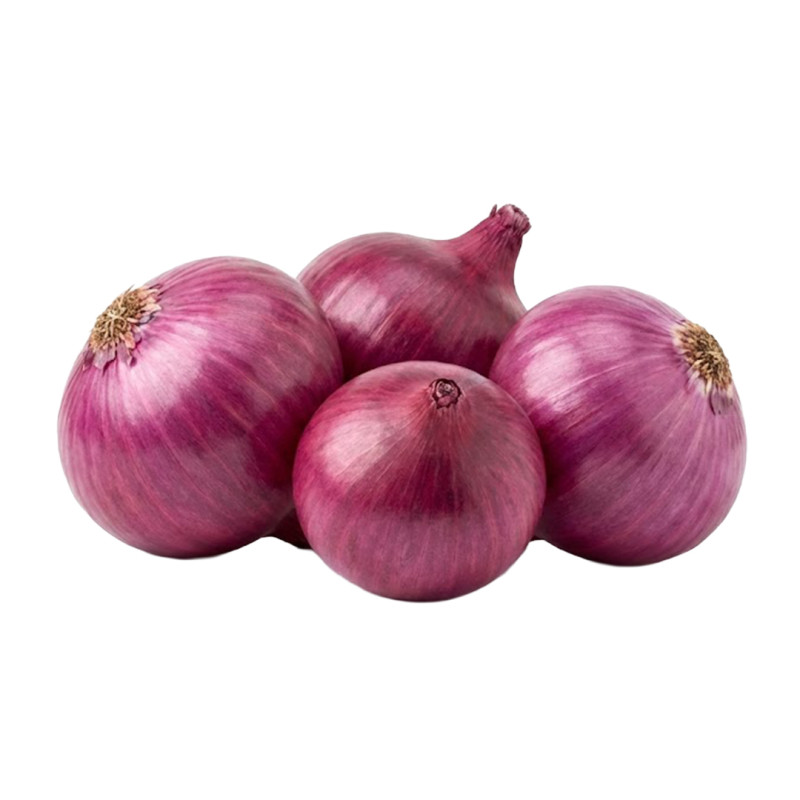 Cebolla Morada fresca | Viver