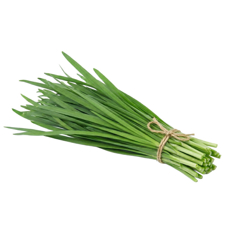 Cebollino Chino fresco | Viver