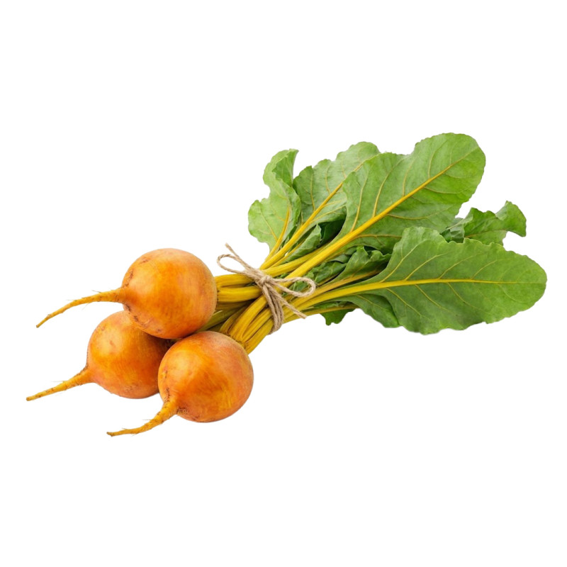 Remolacha Dorada fresca | Viver