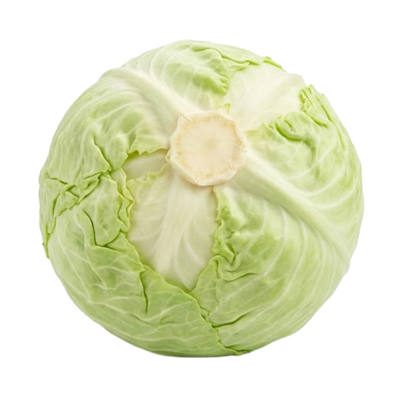 Repollo Blanco fresco | Viver