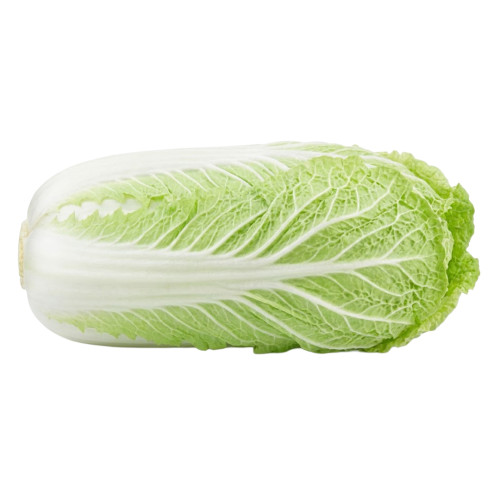 Repollo Napa fresco | Viver