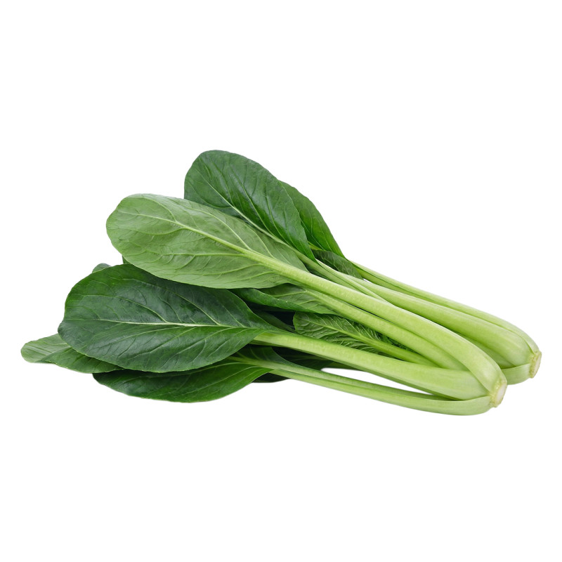 Espinaca Japonesa fresca | Viver
