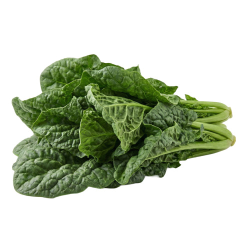 Espinaca Savoy Viver