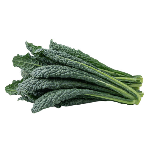 Kale Toscano fresco | Viver