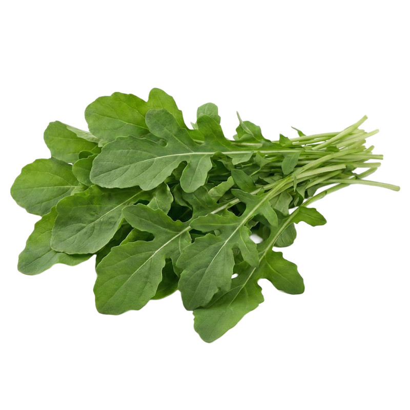 Rúcula Italiana fresca | Viver