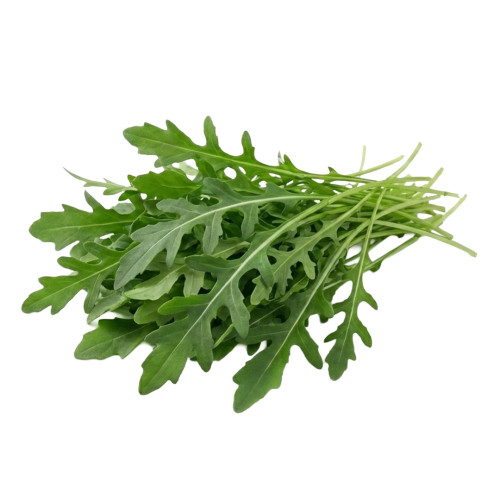 Rúcula Silvestre fresca | Viver