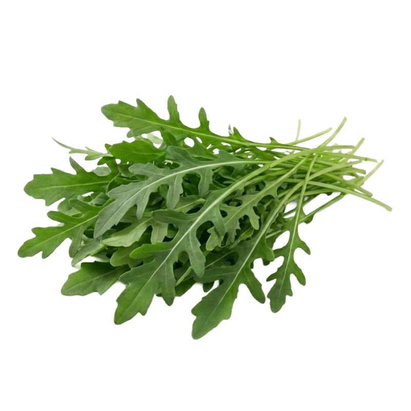 Rúcula Silvestre fresca | Viver