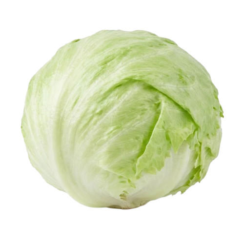 Lechuga Iceberg fresca y crujiente | Viver