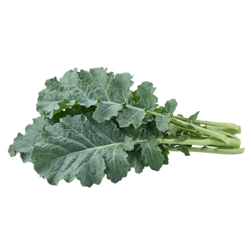 Lechuga Francesa fresca | Viver