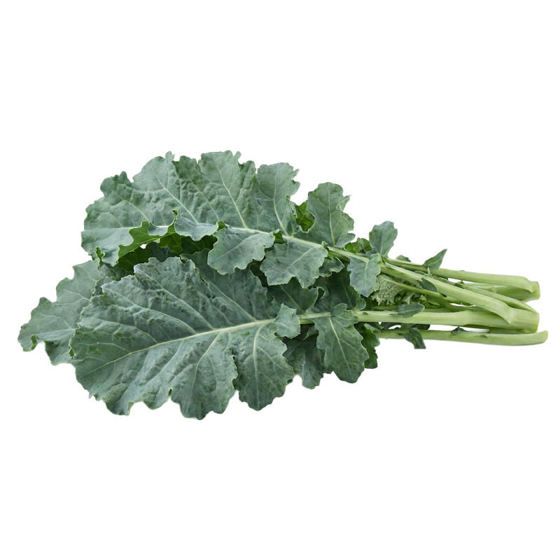 Lechuga Francesa fresca | Viver