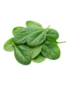 Espinacas frescas naturales | Viver