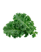 Kale fresco natural para recetas saludables | Viver