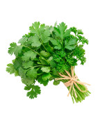 Cilantro y perejil frescos | Viver