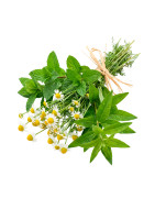 Hierbas para infusiones naturales | Viver