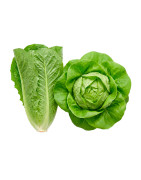 Lechugas clásicas frescas | Viver