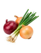 Cebollas frescas naturales | Viver